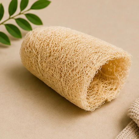 Esponja Vegetal